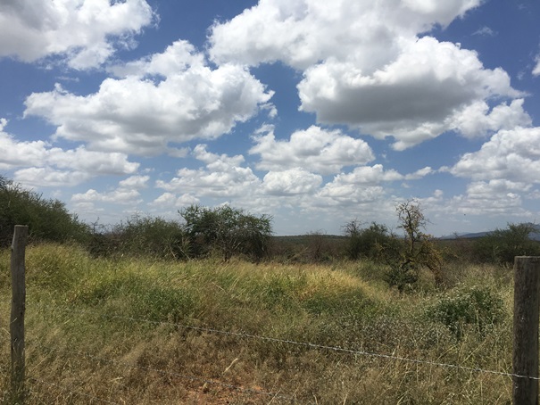 Property Line